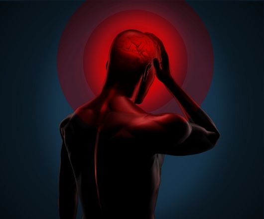 클릭하시면 큰 이미지를 볼 수 있습니다. 경향신문