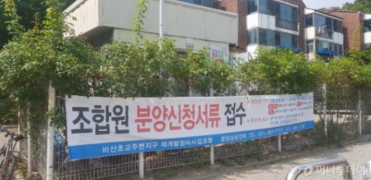 머니투데이
