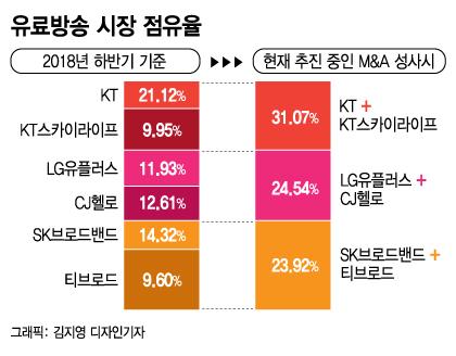 머니투데이