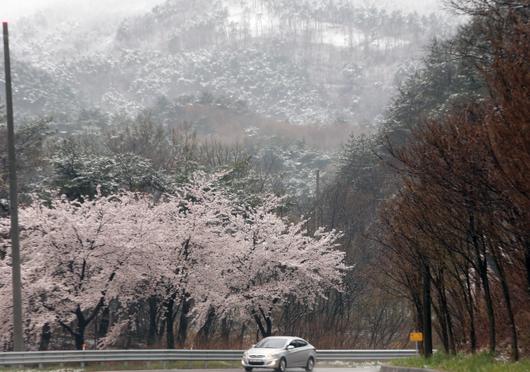 서울경제