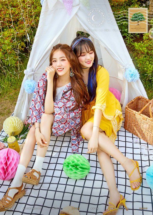 TV리포트