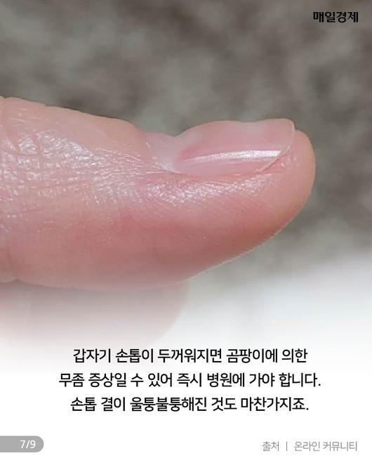 매일경제