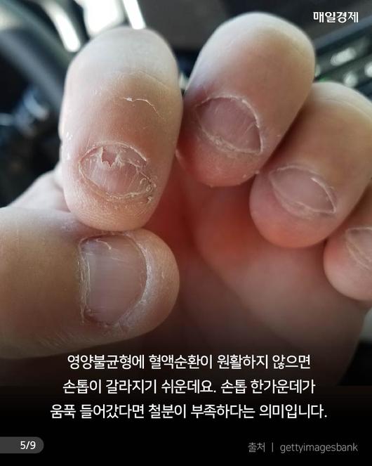 매일경제