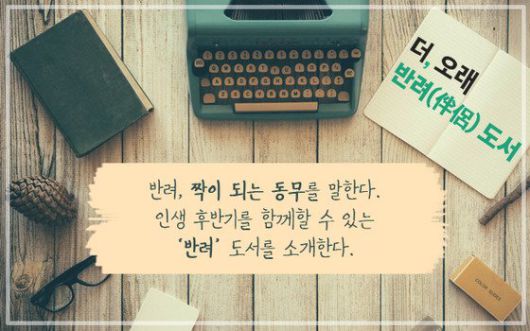 클릭하시면 큰 이미지를 볼 수 있습니다. 중앙일보