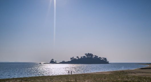 클릭하시면 큰 이미지를 볼 수 있습니다. 중앙일보