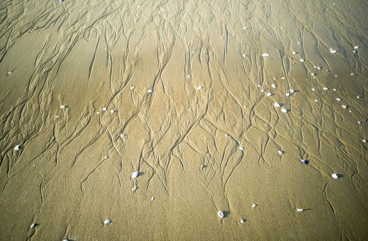 클릭하시면 큰 이미지를 볼 수 있습니다. 중앙일보