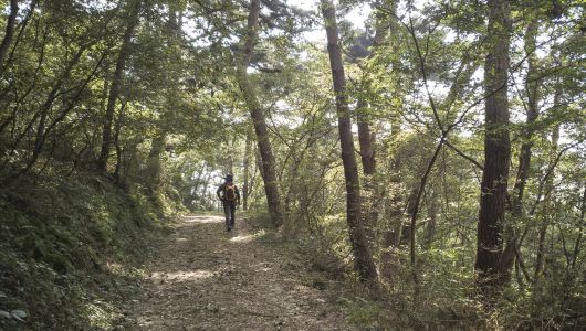 클릭하시면 큰 이미지를 볼 수 있습니다. 중앙일보
