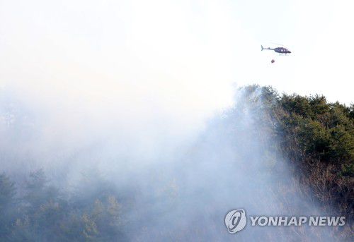 연합뉴스