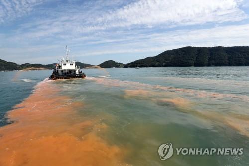 연합뉴스