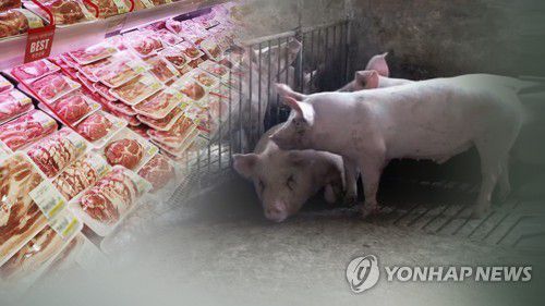 연합뉴스