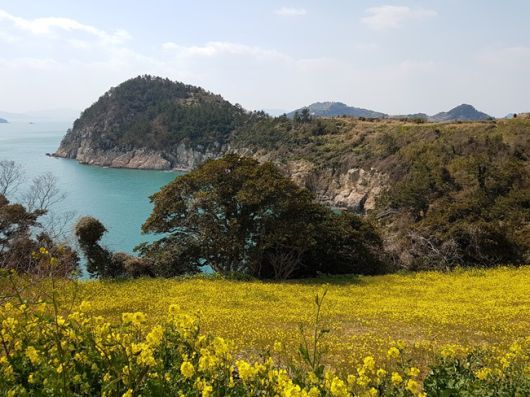 클릭하시면 큰 이미지를 볼 수 있습니다. 헤럴드경제