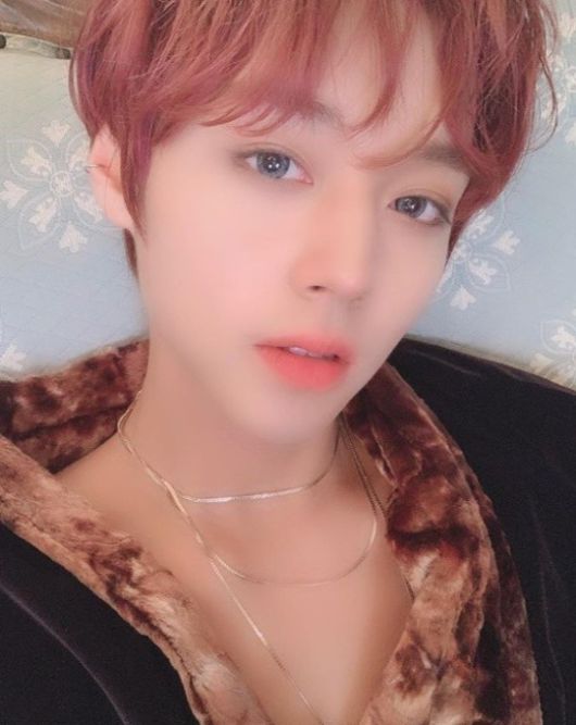 헤럴드경제