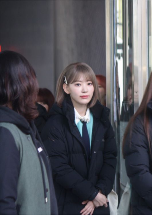 헤럴드경제