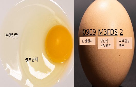하이닥