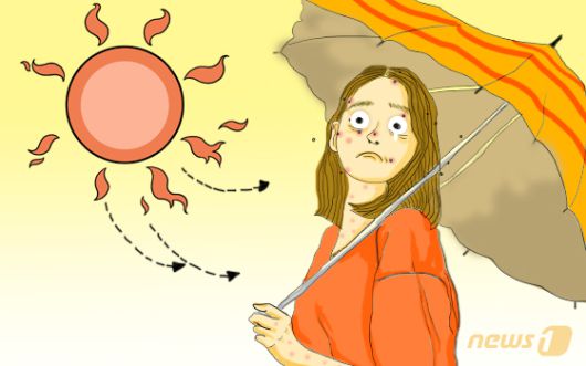 클릭하시면 큰 이미지를 볼 수 있습니다. 뉴스1