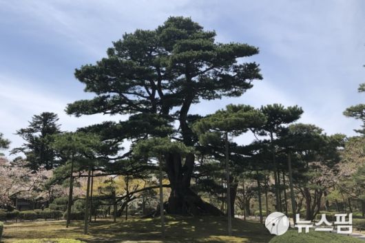 뉴스핌