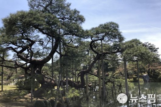 뉴스핌