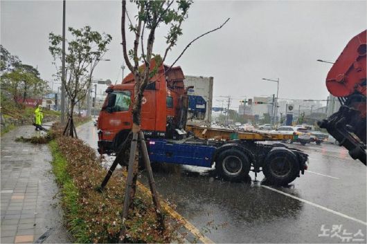 클릭하시면 큰 이미지를 볼 수 있습니다. 노컷뉴스