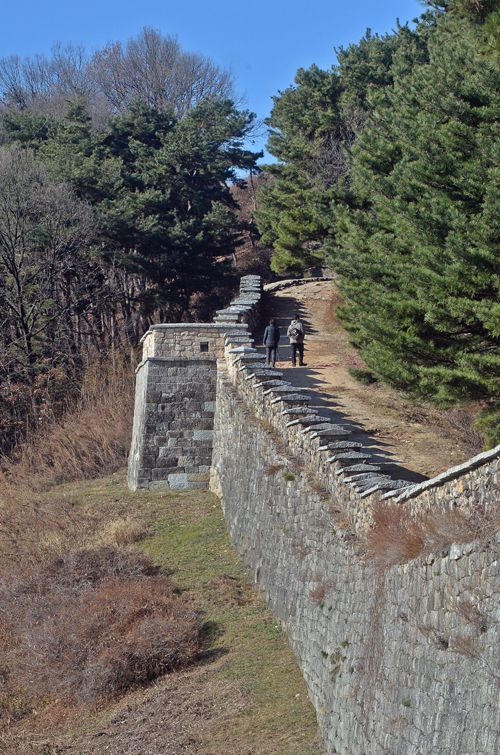 세계일보