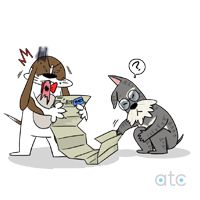 비즈니스워치