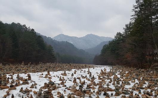 경향신문