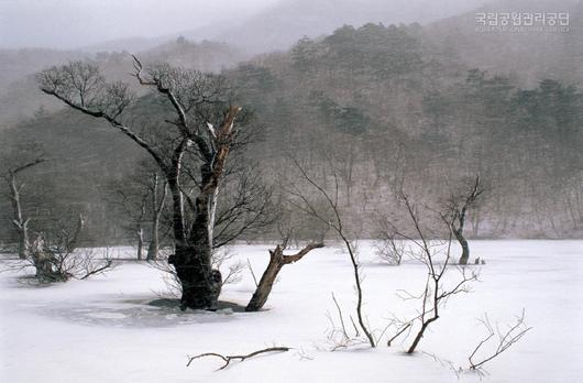 경향신문