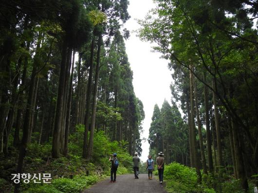 경향신문