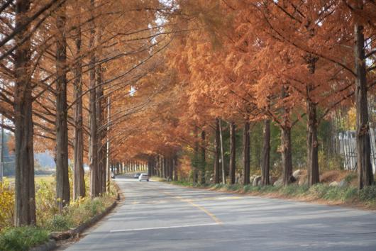 경향신문