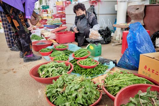 경향신문