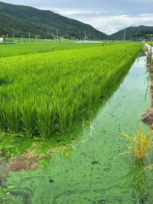 경향신문