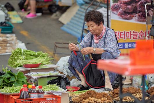 경향신문