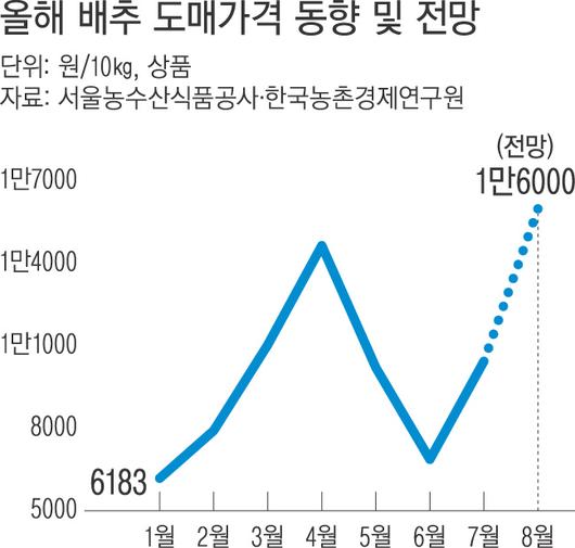 경향신문