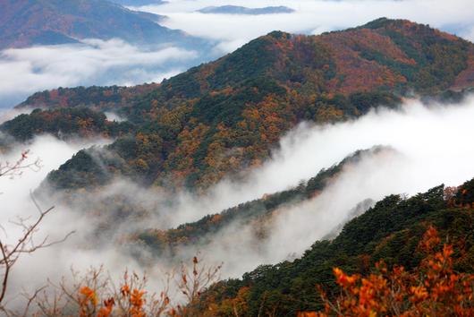 경향신문