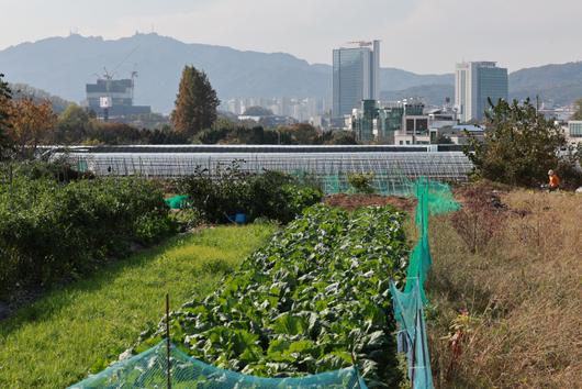 경향신문