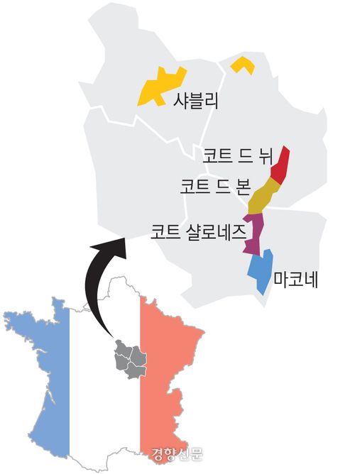 경향신문