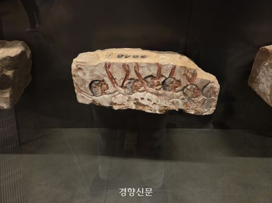 경향신문