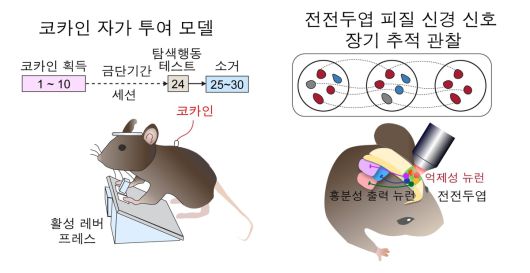 경향신문