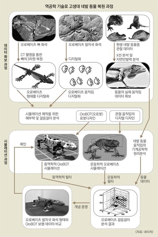 서울신문