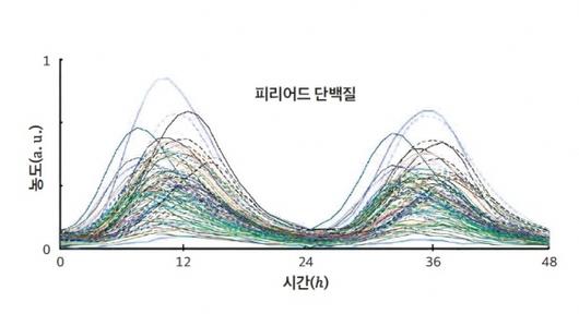 서울신문