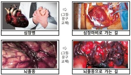 서울신문