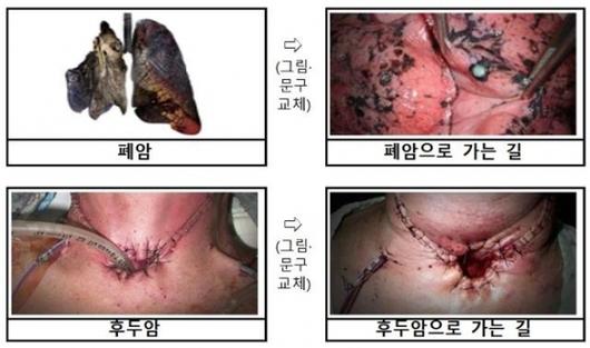 서울신문