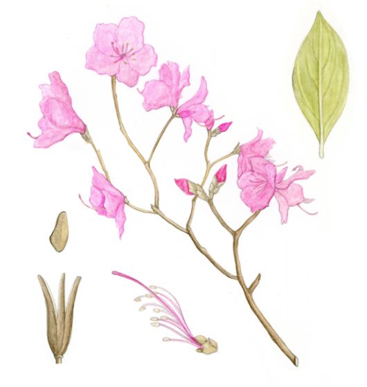 서울신문