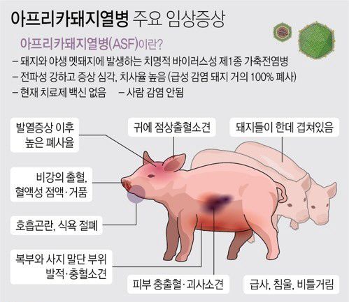 서울신문