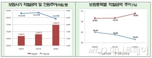 머니투데이