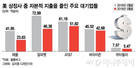 머니투데이