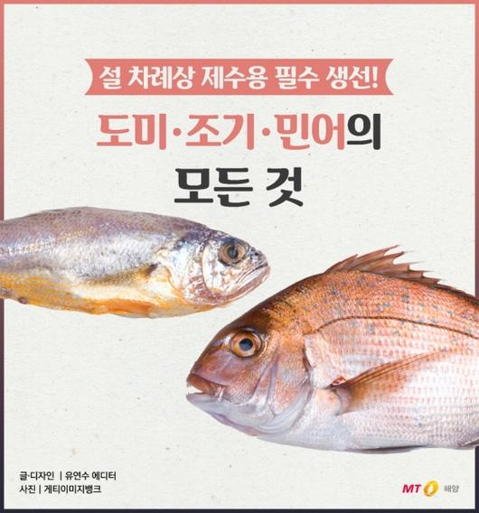 머니투데이