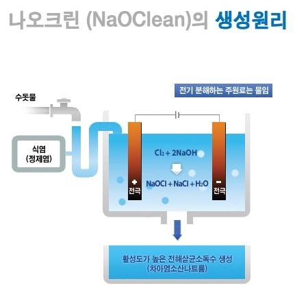 머니투데이