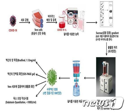 머니투데이