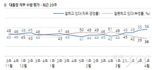 머니투데이