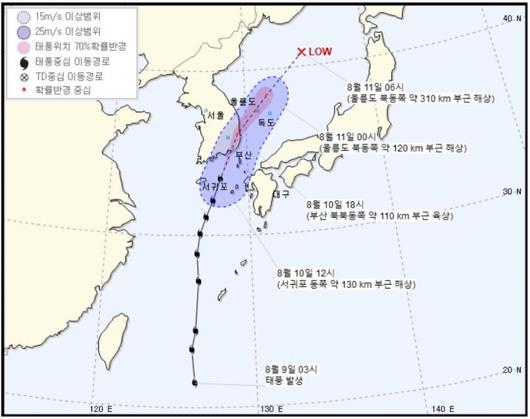 머니투데이